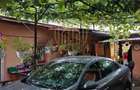 Casă individuală Brâncoveanu Alunișului - 13
