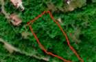 Teren intravilan 5.000 mp de vanzare Valea Domneasca, Ghioroc - 2