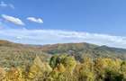 Teren panoramic retras, cu panta lina, utilitati si livada - 13