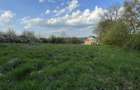Teren de vanzare Daia Sibiu - 5