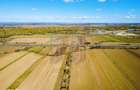 Terenuri industriale cu deschidere la A1, km 64 Jugureni, Dambovit - 12