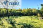 Camin sau refugiu ? Alegerea iti apartine