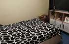 Apartament 3 camere cu balcon si pod - 5