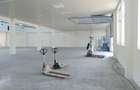 Spatiu comercial pentru magazin supermarket - 2