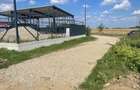 Teren intravilan Cersani, 5 km distanta de Bradu 10 euro mo