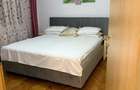 ap 3 camere decomandat-Kaufland ICIL - 3