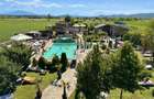 Complex K Tribute piscina, bar, business la cheie Podu Oltului - 4
