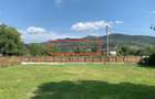 Vand teren,36 hectare,Jud Buzau - 1