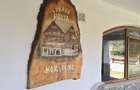 Vanzare Proprietate la poalele Muntilor Bucegi- Moroeni Dambovita - 10