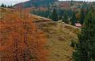 RECO Teren extravilan la Cresuia, Stana de Vale - 5