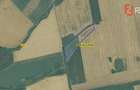 Teren agricol extravilan de vanzare, 2,69 hectare - Jebel Timis