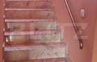 Casa cu 6 camere, 294 mp, zona-Nufarul - 11