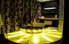 PENTHOUSE UNICAT vedere parc si la lac Herastrau - 17