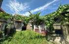 Casa de renovat 300mp, in Vinerea-Cugir - 6