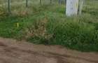 Vand teren intravilan 500 mp Ghercesti, 55 euro mp 55 EUR negociabil - 5
