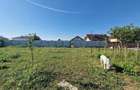 Teren de 600 mp, în Piatra - 1