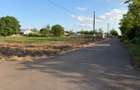 Vand Teren Intravilan 1000 MP - Scortaru Vechi - 2