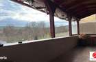 De vanzare spatiu comercial cu teren de 80 arii, Santioana, Jud Mures - 17