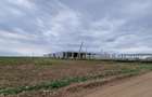 Vânzare teren 43.000 MP Intravilan Tarla 10–Ștefăneștii de Jos, Nod A3-A0 FS 75