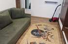 De inchiriat apartamet cu o camera Buziasului - 7