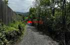 Teren intravilan 1.300 mp in Cornu de Jos, Prahova zona linistita, u - 2