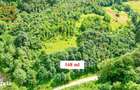 Investitie Smart in Moieciu, 3.1 ha, Panorama 360 Bucegi - Piatra Crai - 6