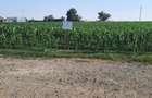 Vand teren intravilan 3000mp Frecatei, Tulcea - 3