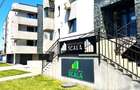 Apartament 1 camera de inchiriat - 47 mp+terasa 50 mp Bucium, Scala - 4