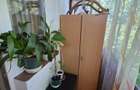Apartament cu 2 camere Dambu Pietros - 18