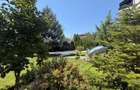 Duplex, 800 mp, zona Centru - 6