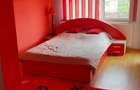 cv 48 Lapusel- teren 480 mp + casa in regim P+M - 4