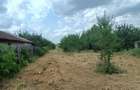 6 parcele intravilane de 485 mp in Mihai Voda, Bolintin Deal, 650 metri de Primaria Bolintin-Deal - 8