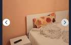 Apartament cu 2 camere nedecomandat în Central - 4