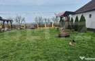 Casa cu 2 camere, 65 mp, teren 2910 mp, in Viile Satu Mare - 11