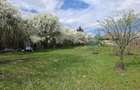 Teren intravilan premium de vanzare Snagov, Loca?ie exclusivista, fara riscuri - 2