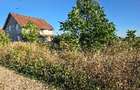 Teren intravilan Balotesti - Balotesti (Bucuresti-Ilfov) - 2