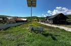 Teren intravilan de vanzare 2900 mp Luncani Bacau - 8