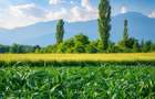 Teren intravilan 10.000 mp, parcelabil, plan, acces asfaltat, Bod, Bra - 9