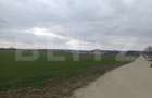Teren 7.200 mp cu toate utilitățile la front asfaltat, Măn. Jitianu, Braniște