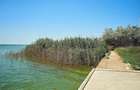 Apartament 3 camere Mamaia CENTRU(AXI46) - 21