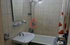 Apartament cu o camera, Tudor Vladimirescu - Metalurgie (Gradinari)