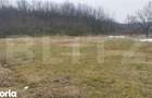 Teren 2.700 mp cu deschidere 22 ml liniste, natura si acces rapid - 3