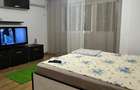 Apartament cu 1 camera complet mobilat Calea Calarasilor - 3