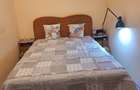 Apartament cu 2 camere semidecomandat în Piorești - 2
