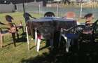 Particular- Casa de vanzare -1365 st, Cosereni, jud. Ialomita - 9