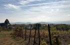 Teren intravilan 1183 mp Com.Jugureni sat Marginea Padurii
