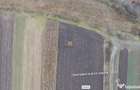 Teren Intravilan 14066 mp 1,4 hectare Suceava Mihoveni - 10