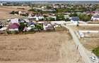 Teren intravilan de vanzare-Comuna Cerninca Sat Balaceanca - 6