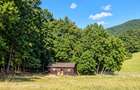 Vânzare teren extravilan pădure+ Pășune 17 000 mp Covasna - 6