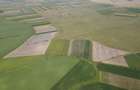 Teren arabil de 40 hectare in Zarand - 3